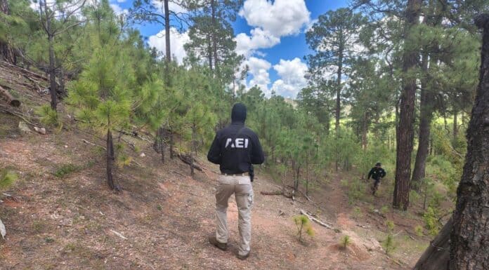 Realizan operativo de búsqueda en Bocoyna