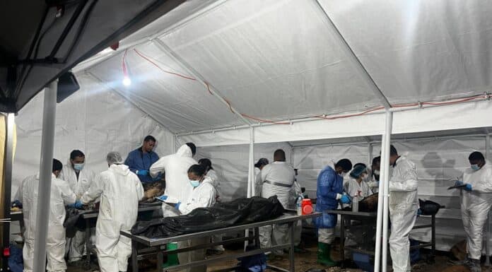 Analizados 323 cuerpos, informa la Dirección de Servicios Periciales y Ciencias Forenses