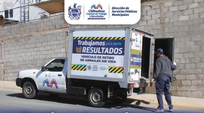 Ofrece Gobierno Municipal servicio de retiro de animales sin vida en la vía pública