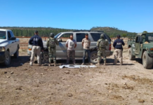 Durante operativo BOI en Guachochi, aseguran 172 cartuchos y droga; dos detenidos