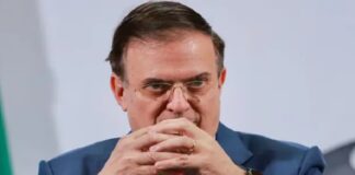 México propondrá la permanencia del TMEC y la eliminación de aranceles