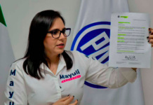 Plan B de Claudia Sheinbaum busca meter a la presidenta en campaña rumbo a 2027