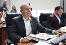 Tribunal obliga a sacar de la congeladora las iniciativas para elección directa de regidores