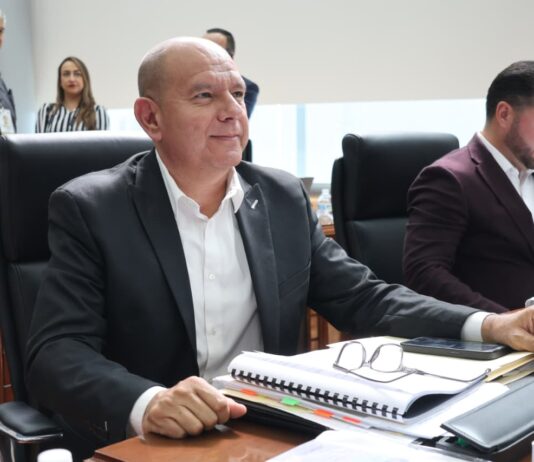 Tribunal obliga a sacar de la congeladora las iniciativas para elección directa de regidores