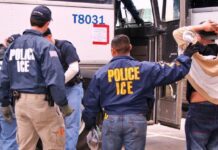 Muere otro mexicano bajo custodia del ICE; suman 15 los connacionales fallecidos