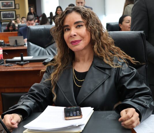 La contaminación no se resuelve con “venta” de engomados ecológicos: María Antonieta