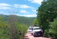 Asegura Operativo Conjunto 4 fusiles y parque tras agresión armada