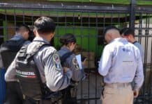 Atiende Municipio denuncias de maltrato, omisión de cuidados y rescate