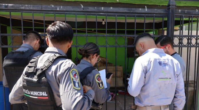 Atiende Municipio denuncias de maltrato, omisión de cuidados y rescate