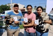 Benefició Municipio a más de 100 perros y gatos con servicios gratuitos en colonia Los Pinos