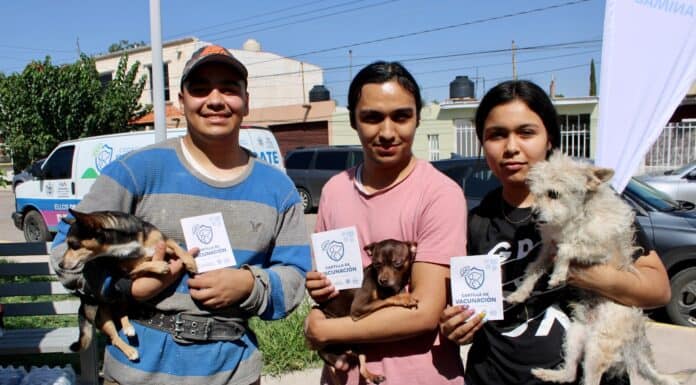 Benefició Municipio a más de 100 perros y gatos con servicios gratuitos en colonia Los Pinos