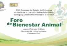 El Congreso del Estado te invita al Foro de Bienestar Animal