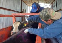 Aumentarán personal e infraestructura sanitaria para blindaje sanitario