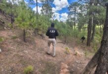 Realizan operativo de búsqueda en Bocoyna