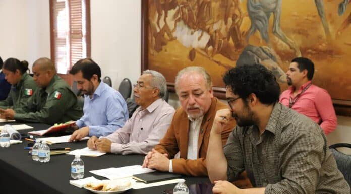 Implementan campaña de denuncia anónima contra la tala ilegal