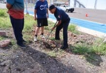 Con programa de la DSPM, jóvenes con problemas de conducta plantan árboles en el ISSCUU
