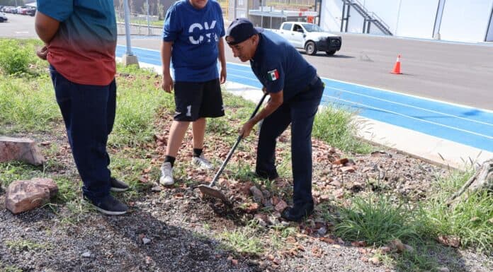 Con programa de la DSPM, jóvenes con problemas de conducta plantan árboles en el ISSCUU