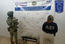Asegura Operativo Conjunto cuatro kilogramos de marihuana en Allende
