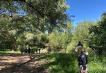 Busca FGE a Martín Fabián Orona Ponce, desaparecido en Allende