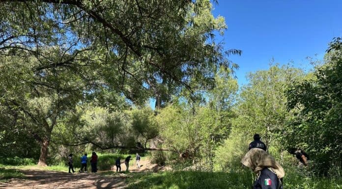 Busca FGE a Martín Fabián Orona Ponce, desaparecido en Allende