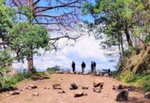 Desbloquea Operativo Conjunto camino en zona serrana