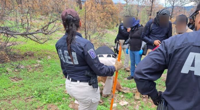 Halla Fiscalía Noroeste fragmentos óseos en ‘El Willy’, municipio de Casas Grandes