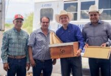 Entrega Bonilla paquetes de núcleo de abeja reina y bastidores a productores apícolas