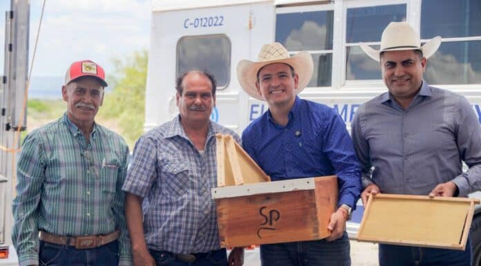 Entrega Bonilla paquetes de núcleo de abeja reina y bastidores a productores apícolas