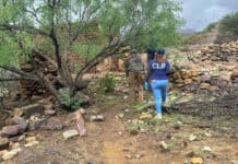 Continúan FGE y CLB búsqueda de personas en la localidad de Minas Nuevas