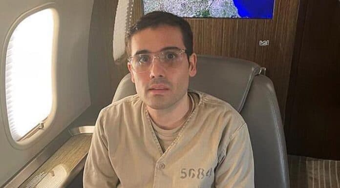 Ovidio Guzmán, líder de Los Chapitos, se declarará culpable en EU