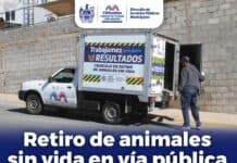 Ofrece Gobierno Municipal servicio de retiro de animales sin vida en la vía pública