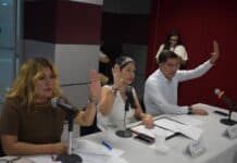 Aprueban en Congreso proyecto de dictamen para el uso de tecnología en la protección de mujeres en situación de riesgo