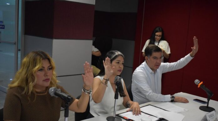 Aprueban en Congreso proyecto de dictamen para el uso de tecnología en la protección de mujeres en situación de riesgo