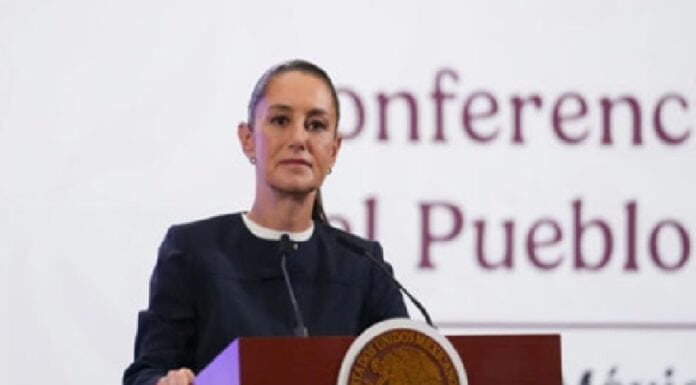 Sheinbaum demandará al abogado de Ovidio Guzmán, Jeffrey Lichtman, por difamación