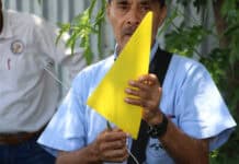 Colocan 500 trampas para detectar a la mosca portadora del Gusano Barrenador