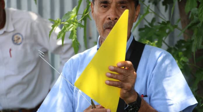 Colocan 500 trampas para detectar a la mosca portadora del Gusano Barrenador