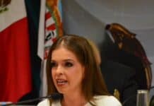 Más dinero para redes, menos para sus policías: Diputada Xóchitl Contreras