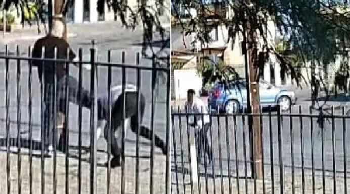 Atacan a golpes a periodista en Mexicali, Baja California