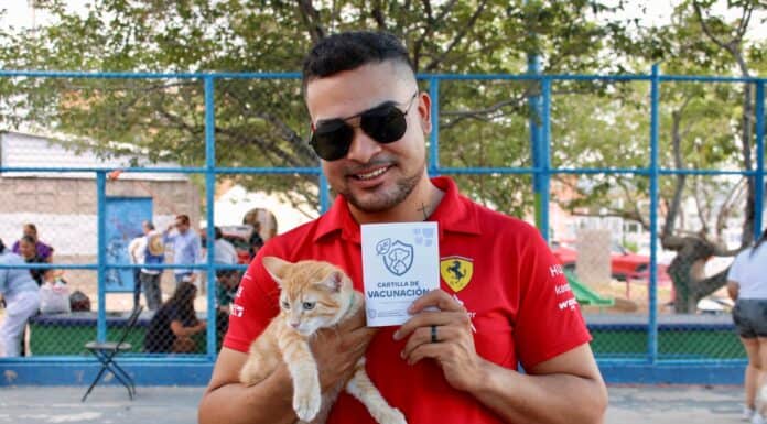 Brinda Municipio más de mil 100 servicios gratuitos para mascotas en Chihuahua 2000