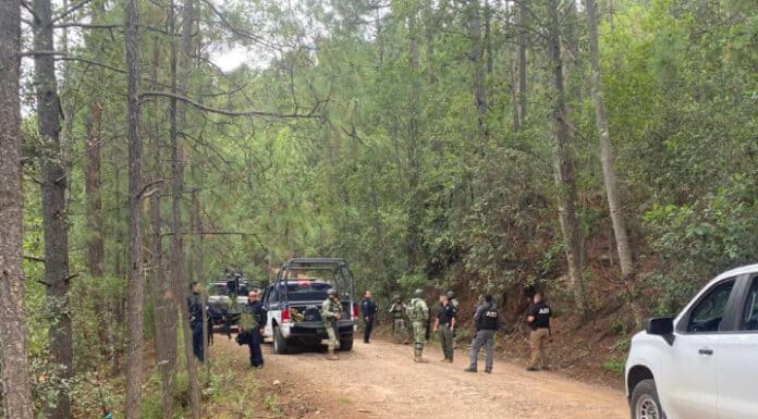 Por tierra y aire, buscan a Jesús Manuel Luna Ríos en Guadalupe y Calvo