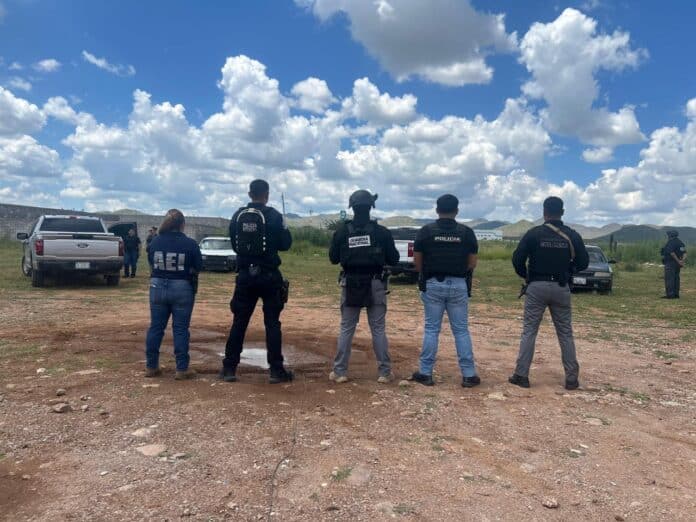 cateo relacionado robo