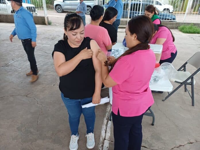 cinco municipios vacuna