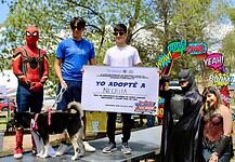 Encuentran hogar 17 perros en programa del Municipio “Adopta como Héroe”