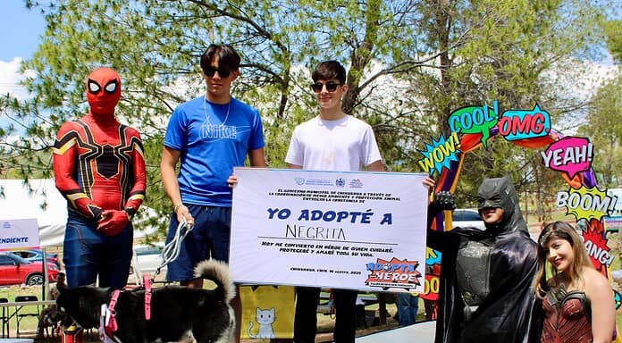 Encuentran hogar 17 perros en programa del Municipio “Adopta como Héroe”