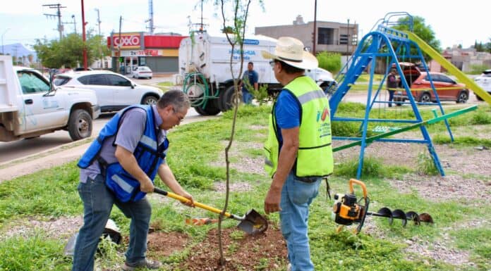 Planta Municipio especies endémicas en espacios públicos de Paseos del Camino Real y Jardines de Oriente