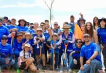 Planta Municipio especies nativas en el camellón del Periférico Francisco R. Almada