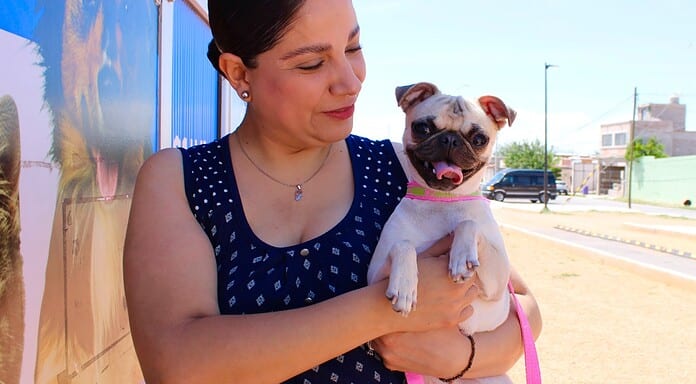 Anuncia Municipio visita del Esterimóvil para mascotas al Centro Comunitario Cerro Prieto del 1 al 5 de septiembre