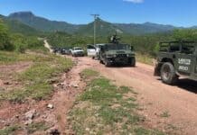 Mantienen la seguridad mediante operativos conjuntos en Moris y Uruachi