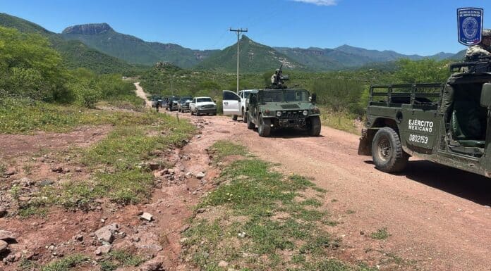 Mantienen la seguridad mediante operativos conjuntos en Moris y Uruachi