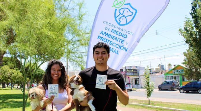 Reciben 342 mascotas servicios gratuitos de salud del Municipio en el Parque El Platanito